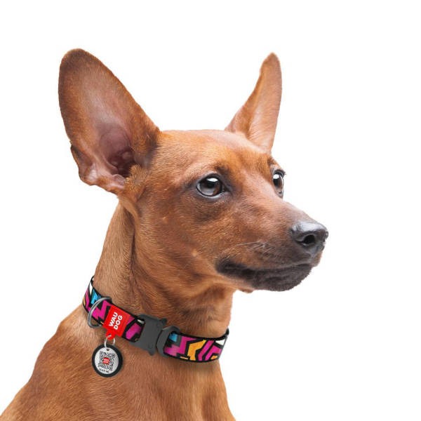 Wau Dog Περιλαίμιο Σκύλου "Graffiti" Με Smart ID & Μεταλλικό Κούμπωμα 1,5x23-35cm
