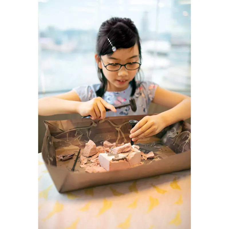 4Μ Ανασκαφή Πτερανόδοντας (3459-4M0607)