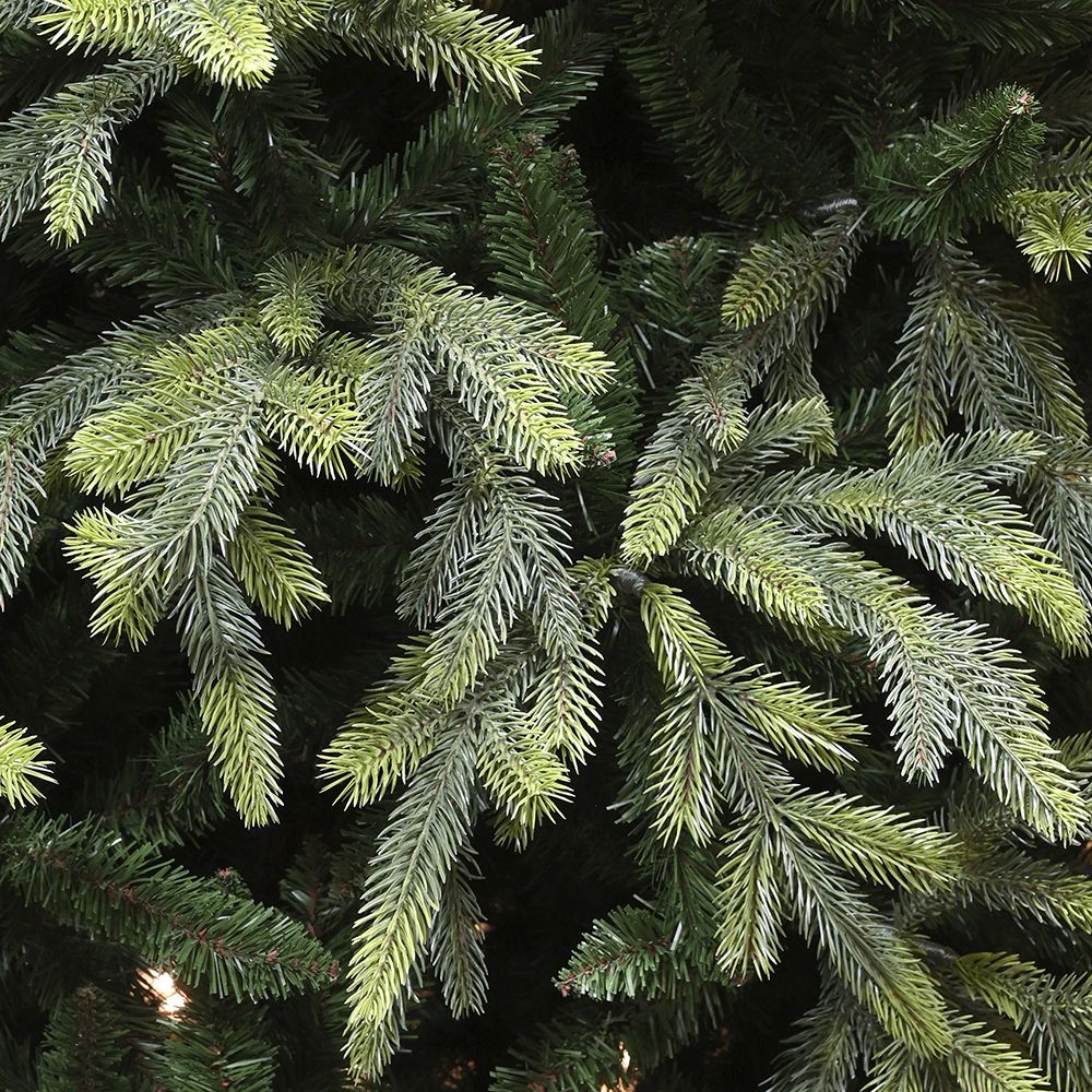 210εκ. Δέντρο Fraser Fir