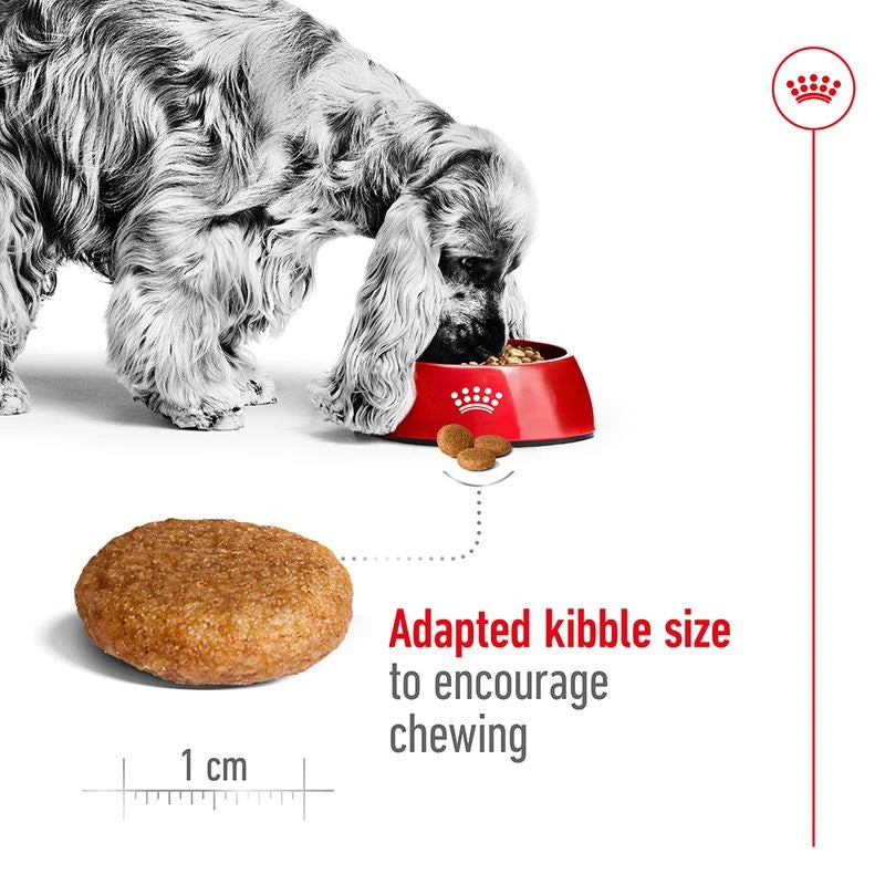 ROYAL CANIN MEDIUM ADULT 15KG