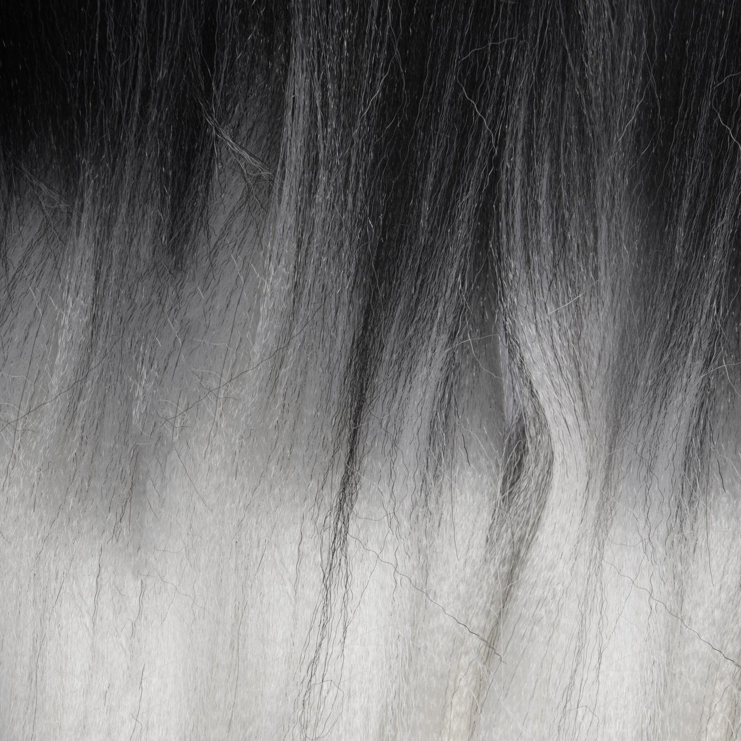X-Pression Pre Streached – T1B/WHITE X-Pression Ultra Braid Hair
