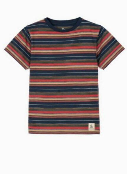 Zippy Kids μπλουζάκι ριγέ multicolor
