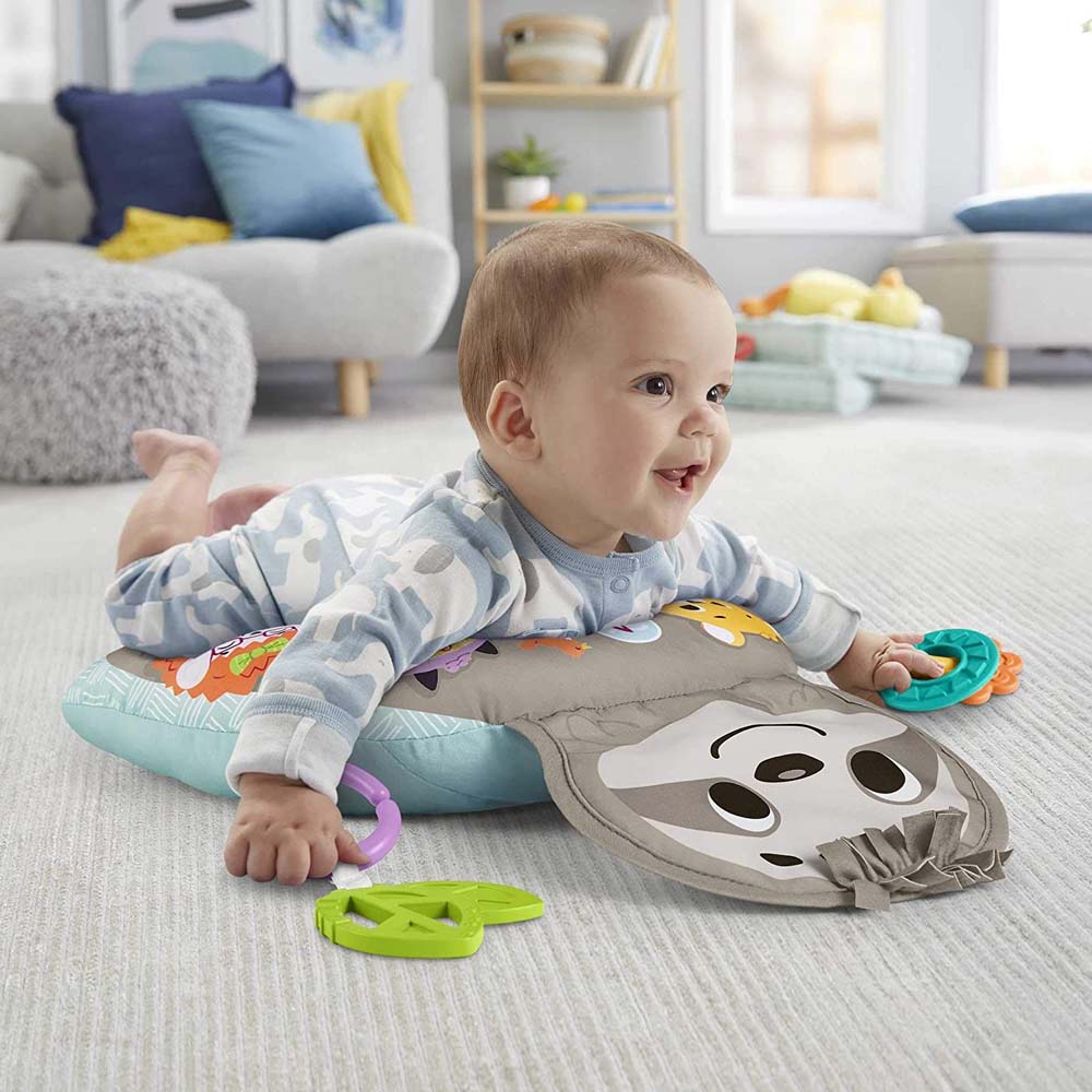 Fisher Price Μουσικό Μαξιλαράκι Δραστηριοτήτων – Βραδύπους GRR01