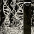 Dissonance Theory