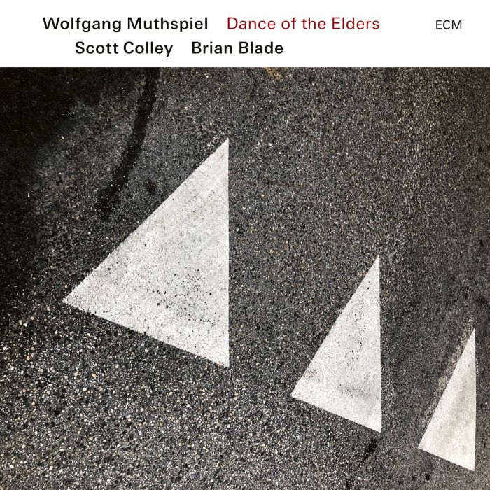 Wolfgang Muthspiel, Scott Colley, Brian Blade - Dance of The Elders (CD)