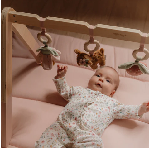 Little Dutch Βρεφικό γυμναστήριο Fairy Garden FSC LD9010