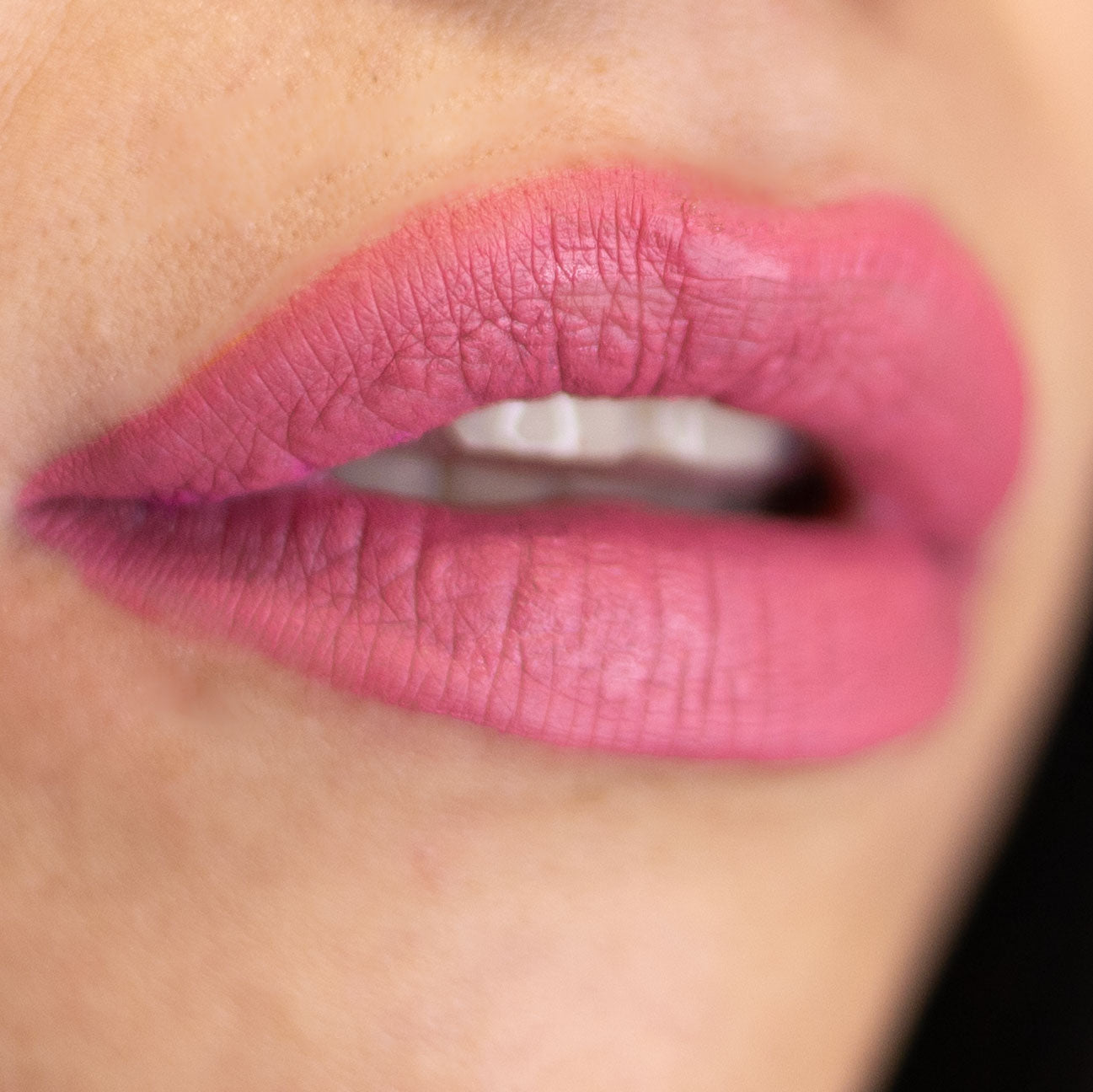 Lorin Kissproof Velvet Matte Lip #105 (Puce)