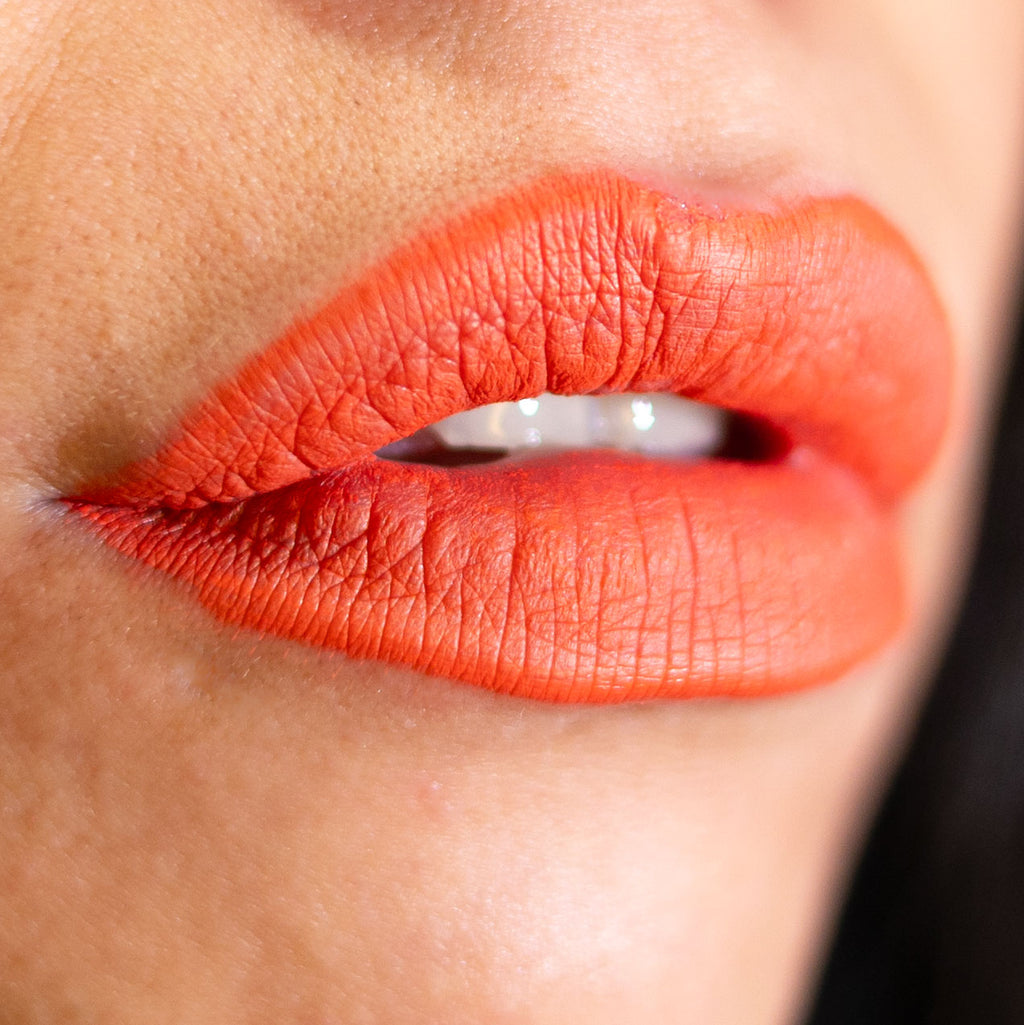 Lorin Kissproof Velvet Matte Lip #107 (Creamy Orange)