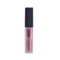 Lorin Kissproof Velvet Matte Lip #108 (Terra Rose)