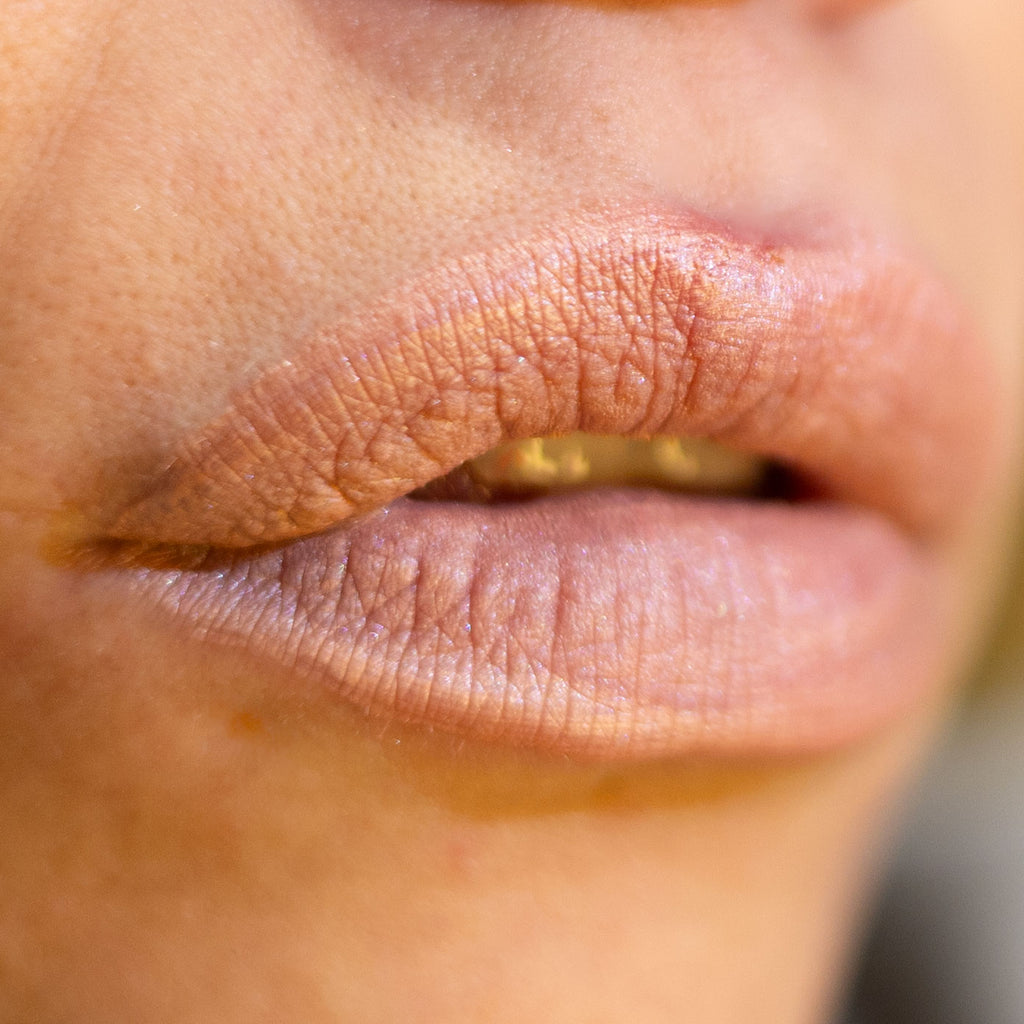 Lorin Kissproof Velvet Metallic Matte Lip #110 (Rich)