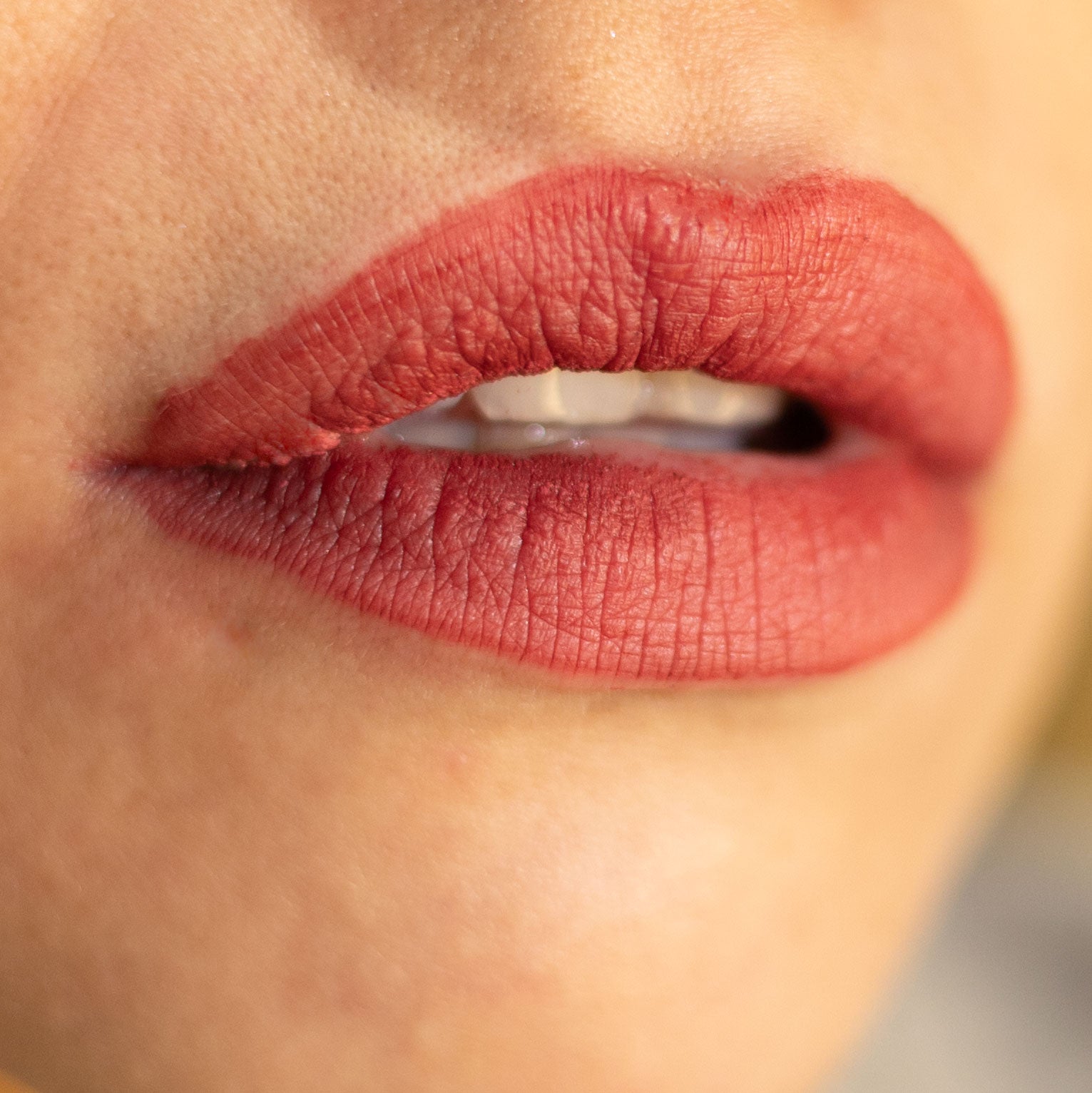 Lorin Kissproof Velvet Matte Lip #112 (Light Mahogany)