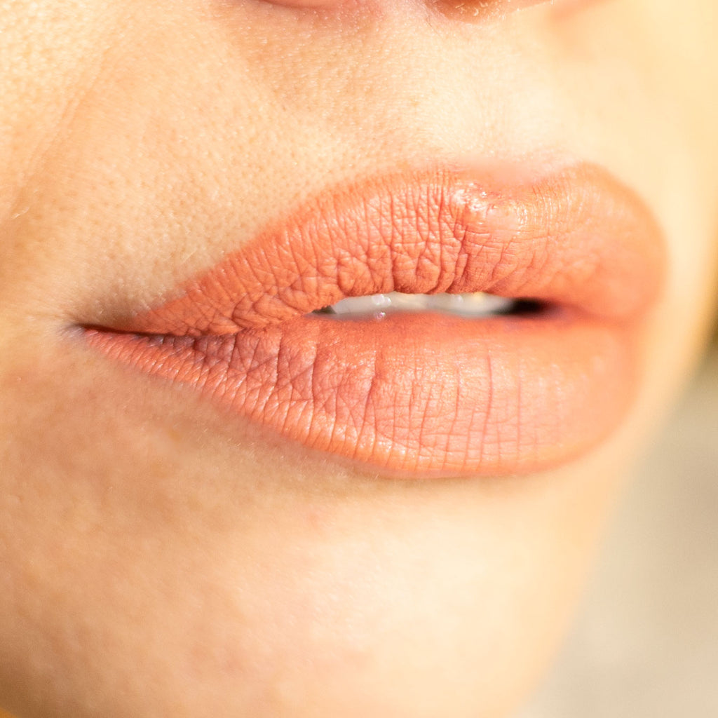 Lorin Kissproof Velvet Matte Lip #113 (Dark Honey) (Αντιγραφή)