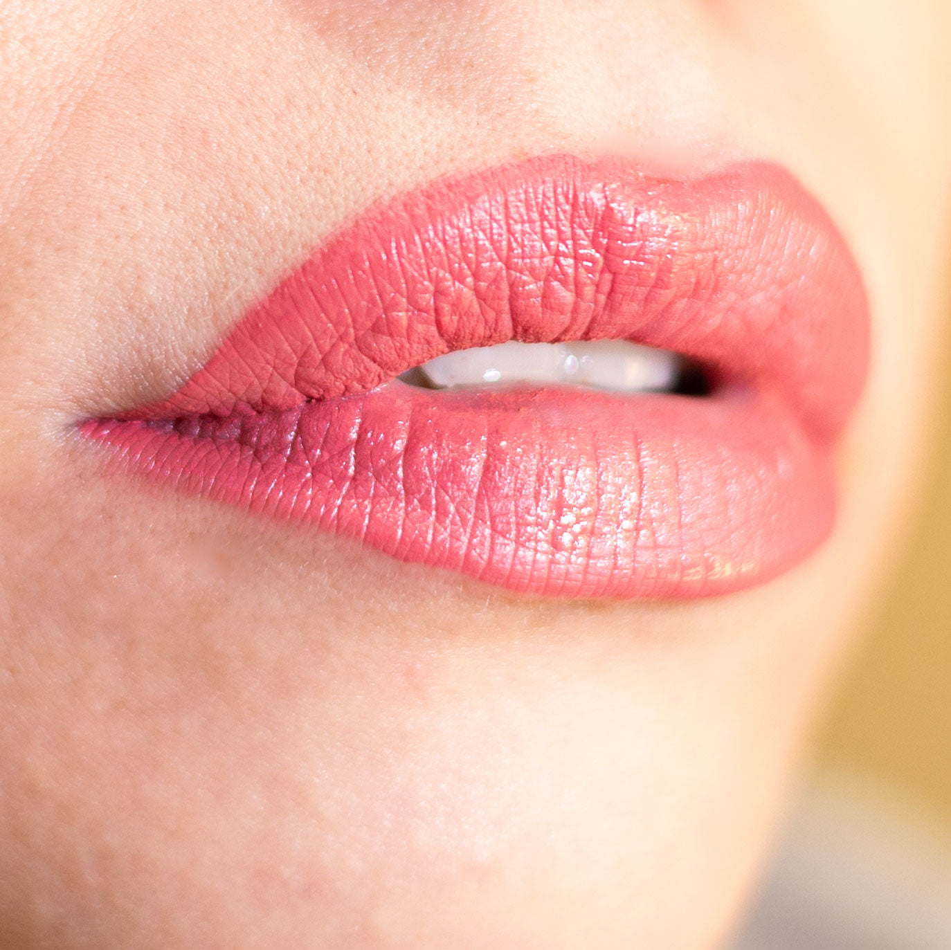 Lorin Kissproof Velvet Matte Lip #114 (Brick Red)