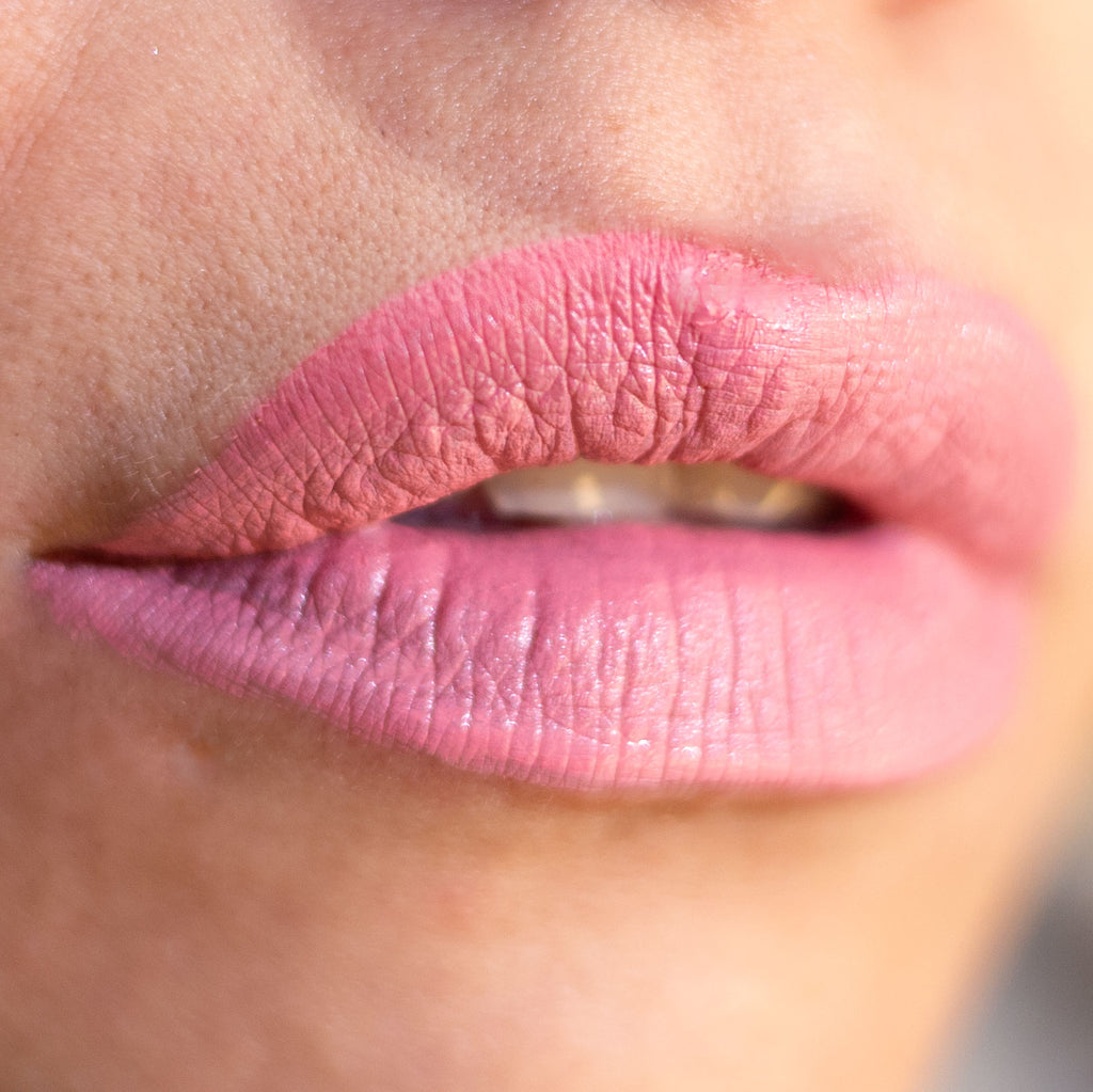 Lorin Kissproof Velvet Matte Lip #116 (Salmon Pink)
