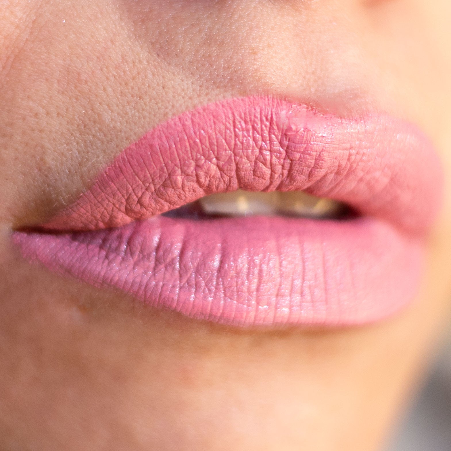 Lorin Kissproof Velvet Matte Lip #116 (Salmon Pink)