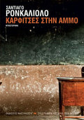 Καρφίτσες στην άμμο