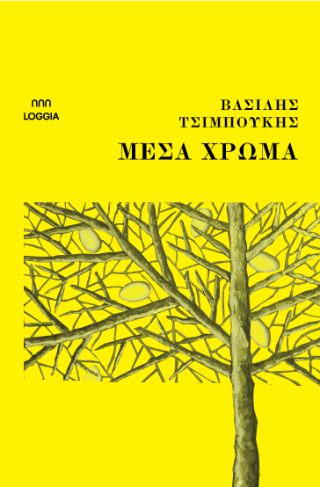 Μέσα Χρώμα