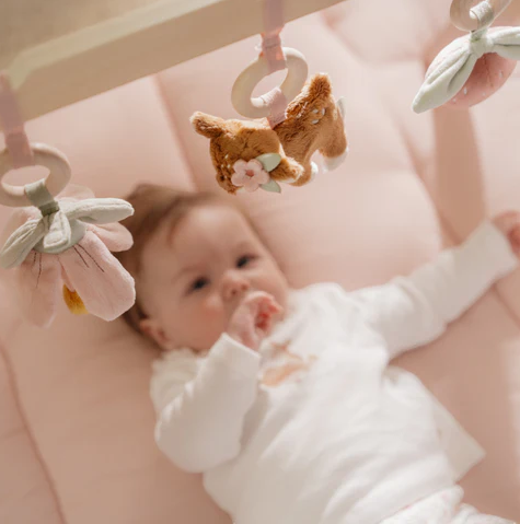 Little Dutch Βρεφικό γυμναστήριο Fairy Garden FSC LD9010