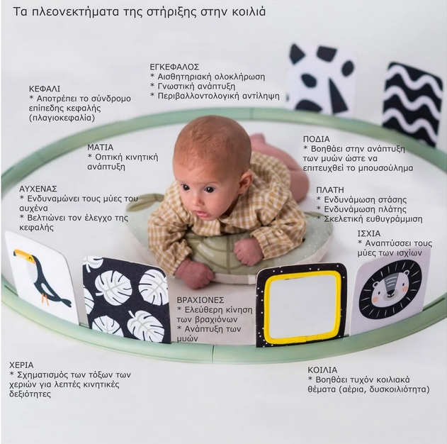 Taf Toys Κέντρο Δραστηριοτήτων  Tummy Time Trainer  T-12945