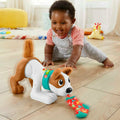 Fisher Price Σκυλάκι Μπουσουλάκι με Φως και Ήχους για 6+ Μηνών
