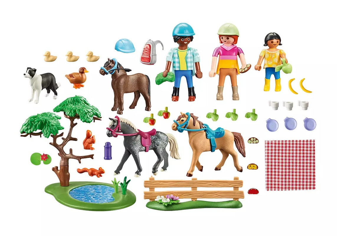 Playmobil Country Πικ Νικ στην Εξοχή για 4+ ετών