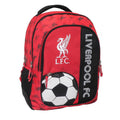 ΤΣΑΝΤΑ ΠΛΑΤΗΣ ΔΗΜΟΤΙΚΟΥ ΑΓΟΡΙ-LIVERPOOL