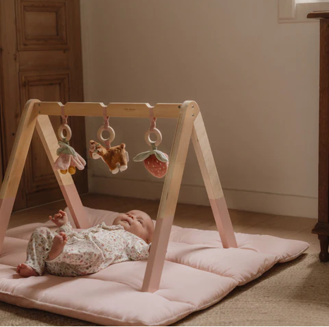 Little Dutch Βρεφικό γυμναστήριο Fairy Garden FSC LD9010