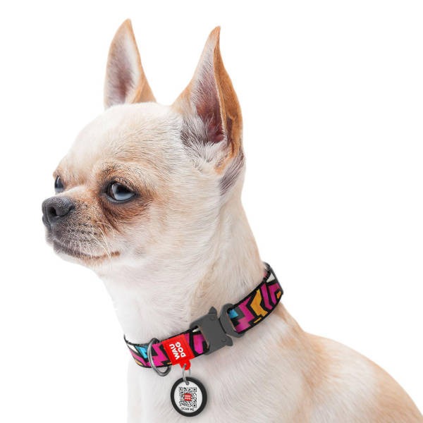 Wau Dog Περιλαίμιο Σκύλου "Graffiti" Με Smart ID &amp; Μεταλλικό Κούμπωμα 1,5x23-35cm