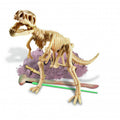 4M Kidzlabs Dinosaur Τυραννόσαυρος Rex Ανασκαφή 3221