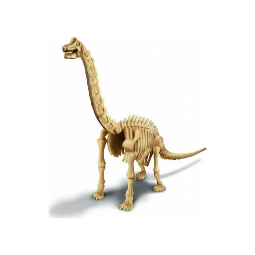 4M Kidzlabs Δεινόσαυρος Βραχιόσαυρος Ανασκαφή 3237