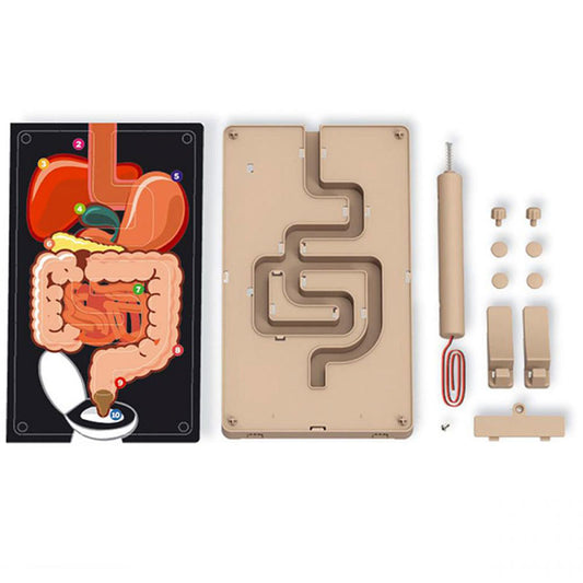 4M KidzLabs Πεπτικό Σύστημα Με Buzzer 3386