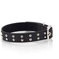 Περιλαίμιο Stud Line - XS: 1,5*25-30cm