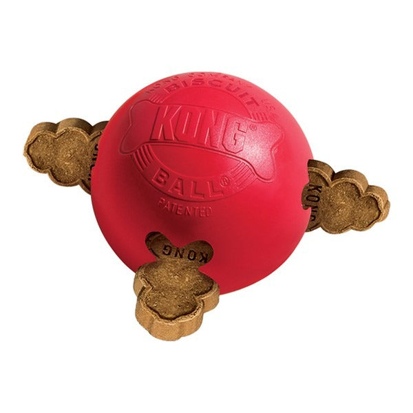 Kong Ball Biscuit - Small εως 9Kg + Δώρο Λιχουδιές