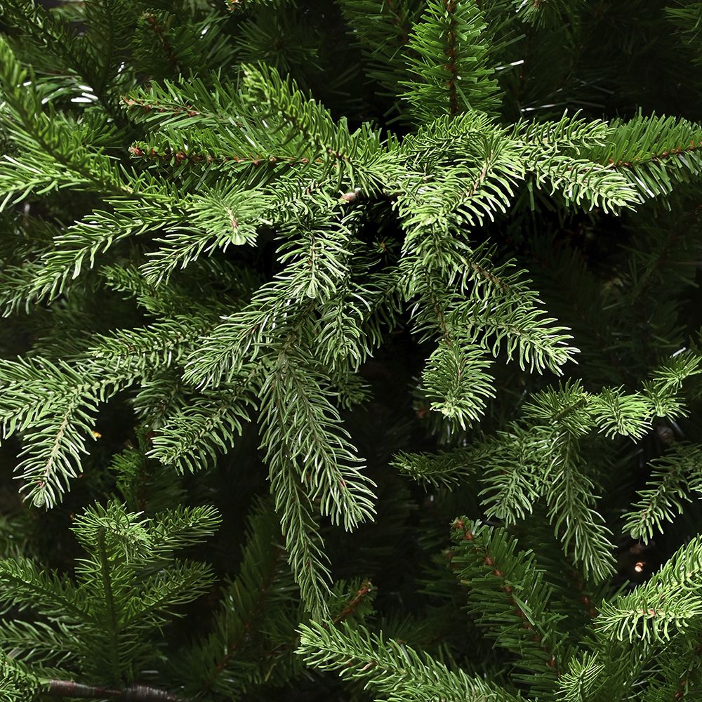 210εκ. Δέντρο Natural