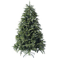 240εκ.  Δέντρο Fraser Fir