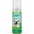 Fresh Breath Oral Care Foam 133ml