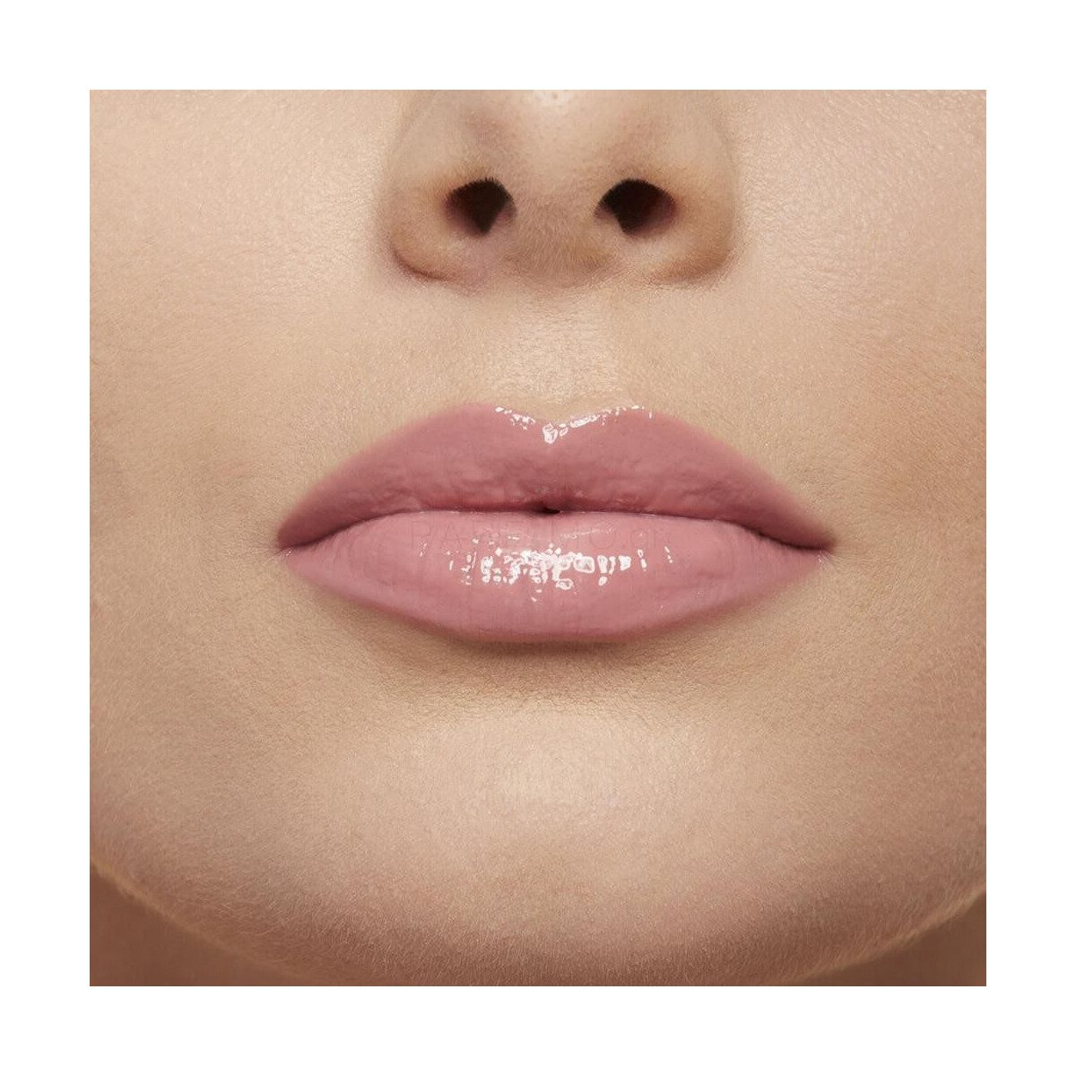 MAYBELLINE LIFTER GLOSS 005 PETAL