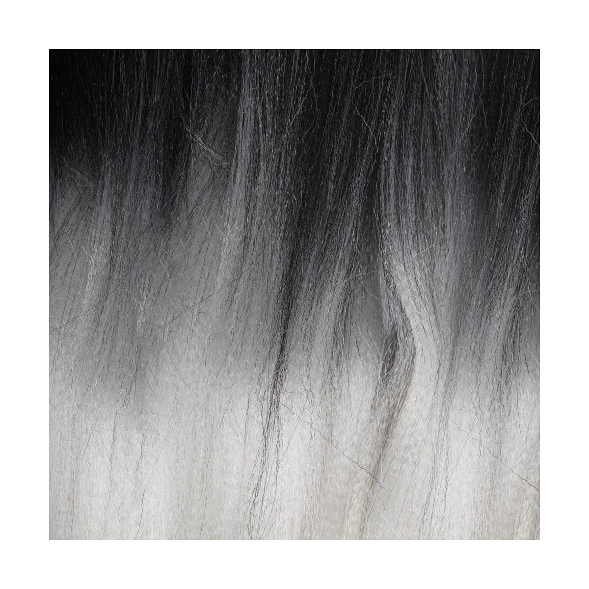 X-Pression Pre Streached – T1B/WHITE
