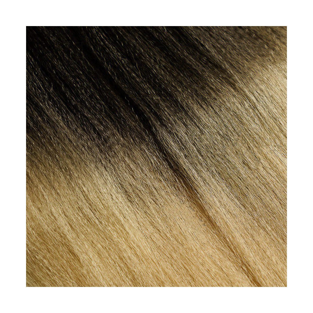 X-Pression Pre Streached – T1B/613