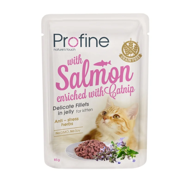 Delicate Fillets Σολομός Με Catnip 85gr