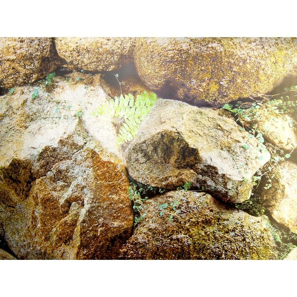 Αφίσα Φόντο Ενυδρείου Διπλής Όψης - 1m x 48cm