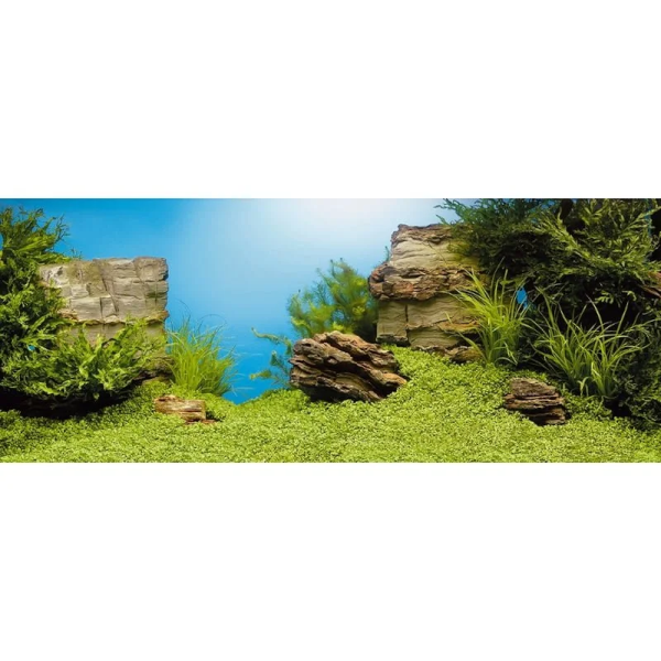 Juwel Aquarium Poster 1 “plant & rock” – Αφίσα Πλάτης Ενυδρείου Small 60x30cm