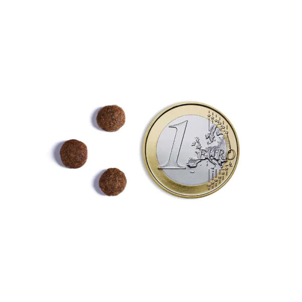 AMBROSIA Adult Mini Fresh Salmon & Rabbit 1,5kg
