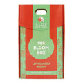 The Bloom Box - Hand Cream + Mystery Gift | Aloe+ Colors