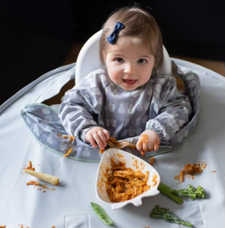 Tidy Tot Σετ Σαλιάρας - Δίσκου Dove Grey Bib &amp; Tray Kit SKU104
