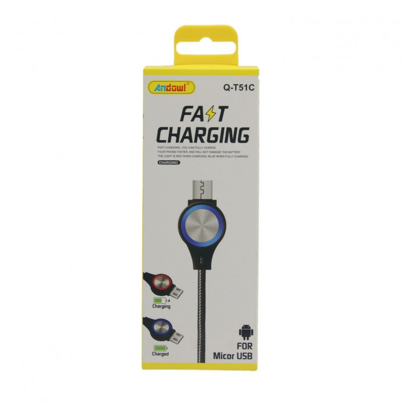 ΓΡΗΓΟΡΟΣ ΦΟΡΤΙΣΤΗΣ ANDOWL ΜΕ Micro USB Q-T51C