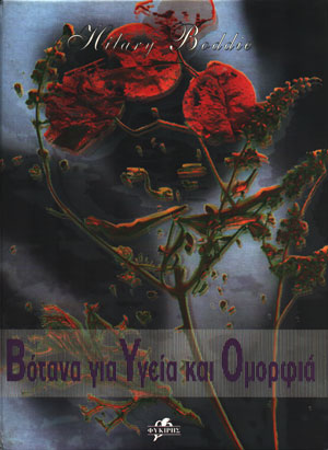 Μαρκετινγκ Υπηρεσιων