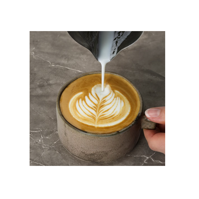 ΜΗΧΑΝΗ ESPRESSO AEG EC6-1-6ST Gourmet 6 Manual Espresso