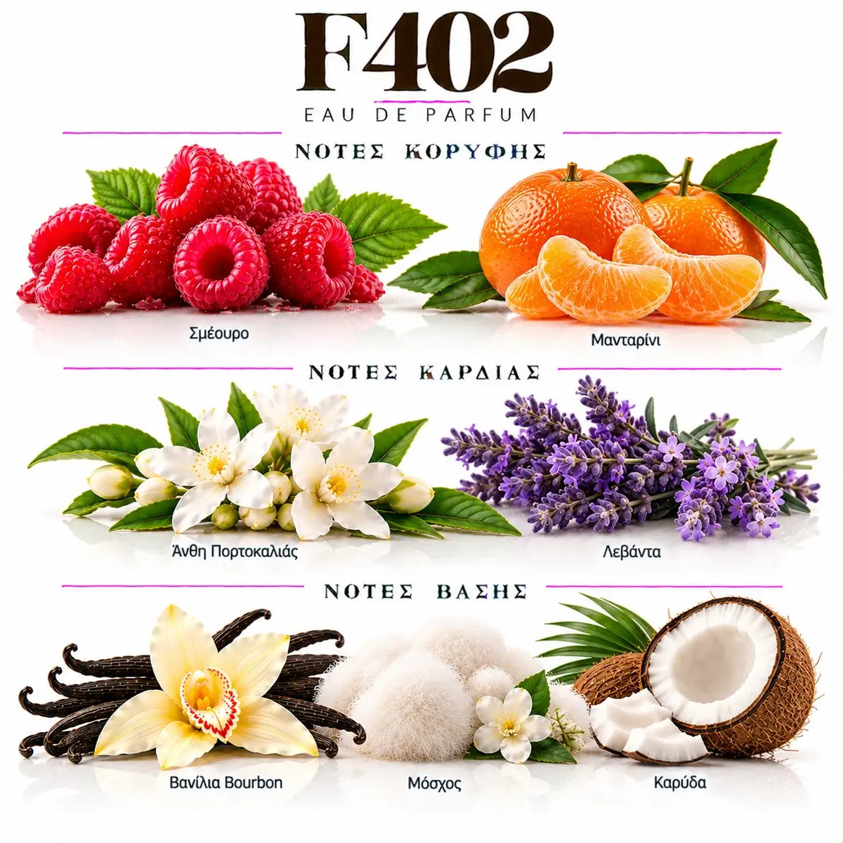 LIBRA BER LOVE F402