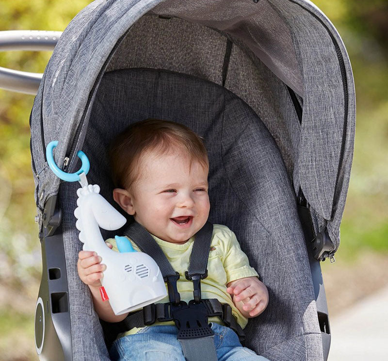 Fisher-Price Μουσική Φορητή Καμηλοπάρδαλη FGG90